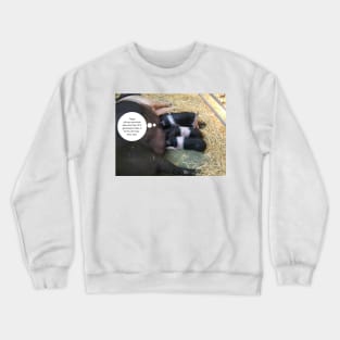 Feeding Time! Crewneck Sweatshirt